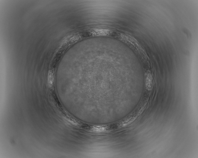 X0000111200701200907291230