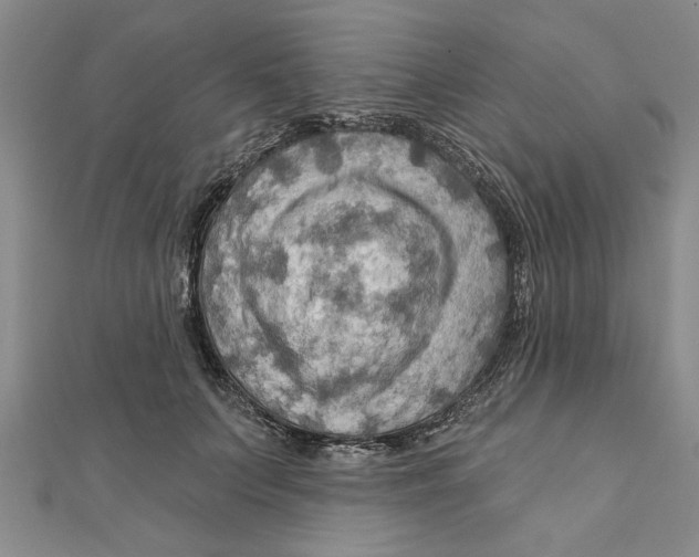 X0000111200703200907291230