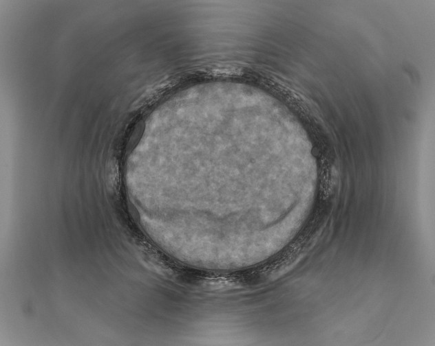 X0000111200704200907291230