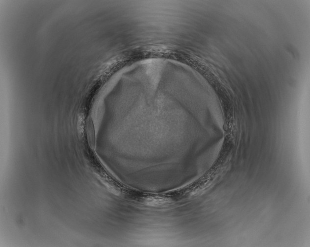 X0000111200708200907291230