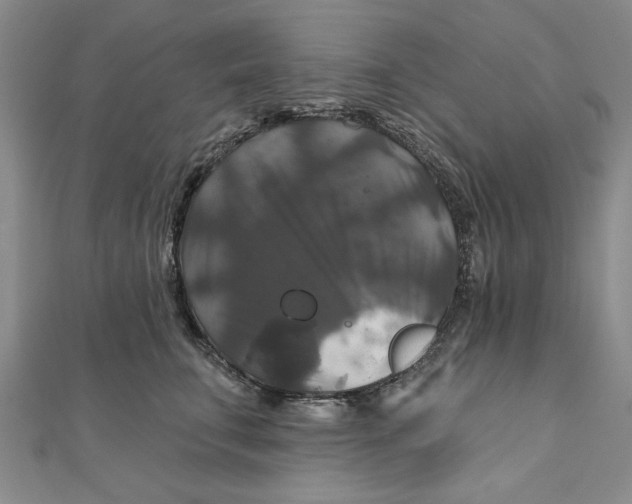 X0000111200711200907291230