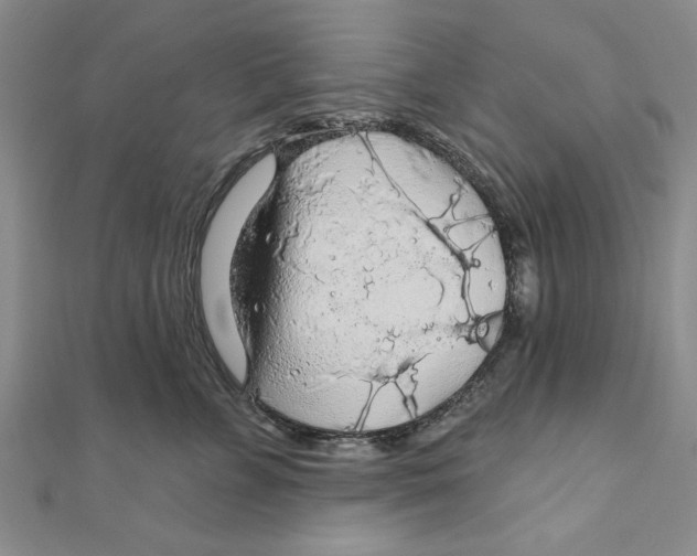 X0000111200715200907291230