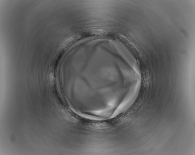 X0000111200716200907291230