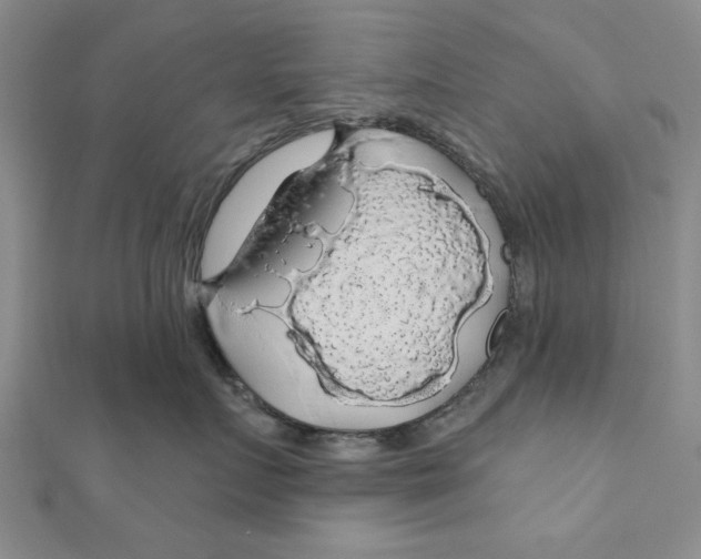 X0000111200719200907291230