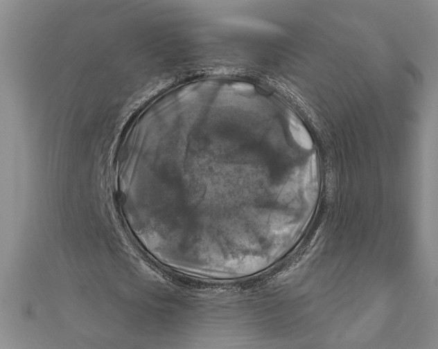 X0000111200721200907291229