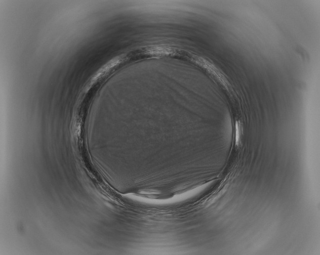 X0000111200723200907291229