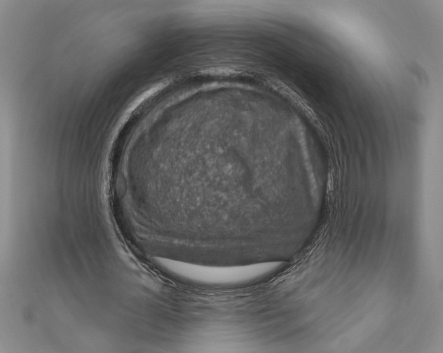 X0000111200724200907291229