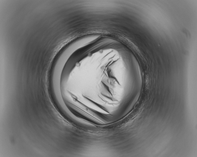 X0000111200725200907291229