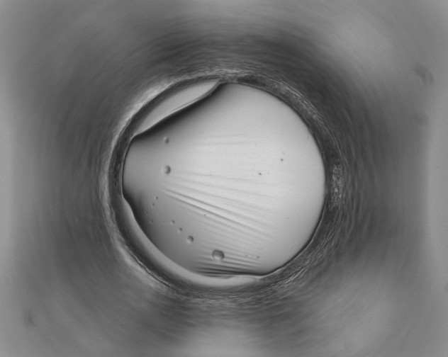 X0000111200726200907291229