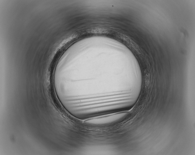 X0000111200727200907291229