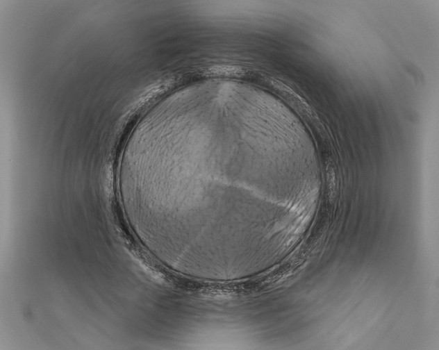 X0000111200729200907291229