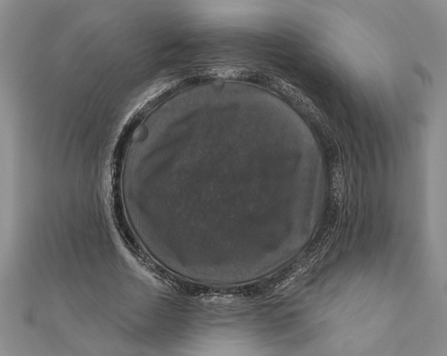 X0000111200730200907291229