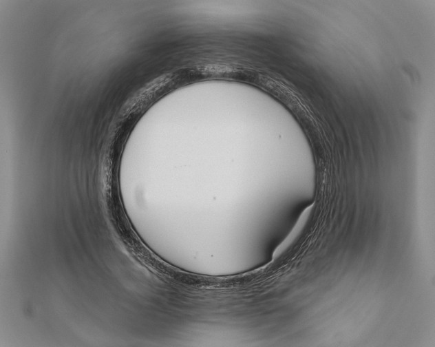 X0000111200732200907291229