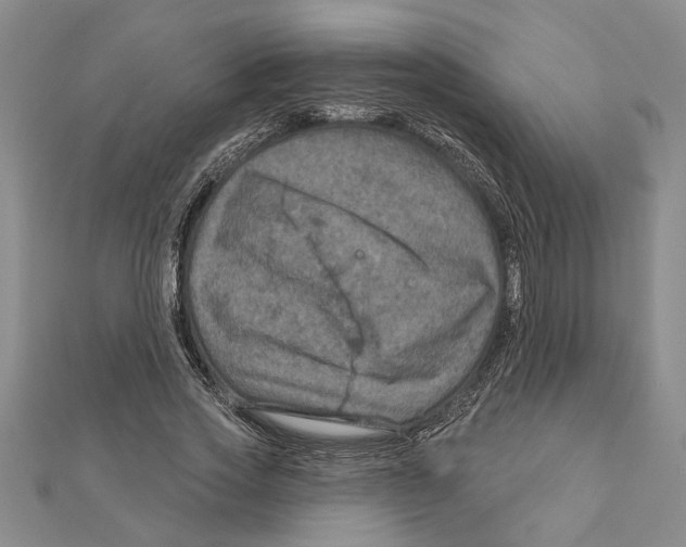 X0000111200733200907291229