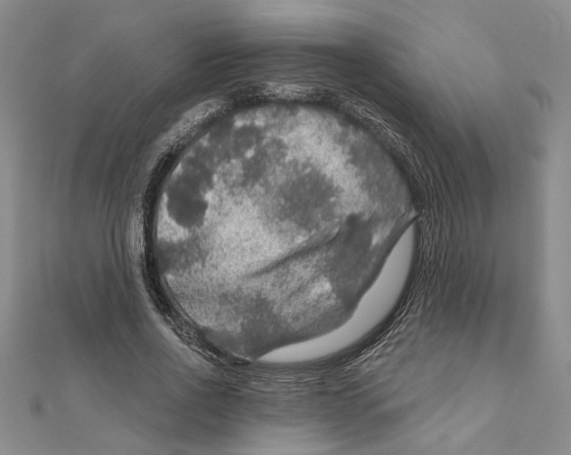 X0000111200734200907291229