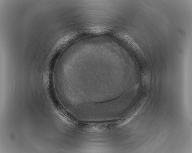 X0000111200736200907291229