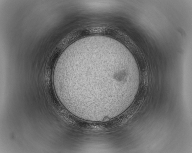 X0000111200737200907291229