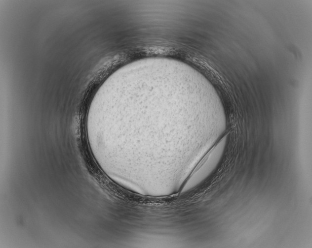 X0000111200738200907291229