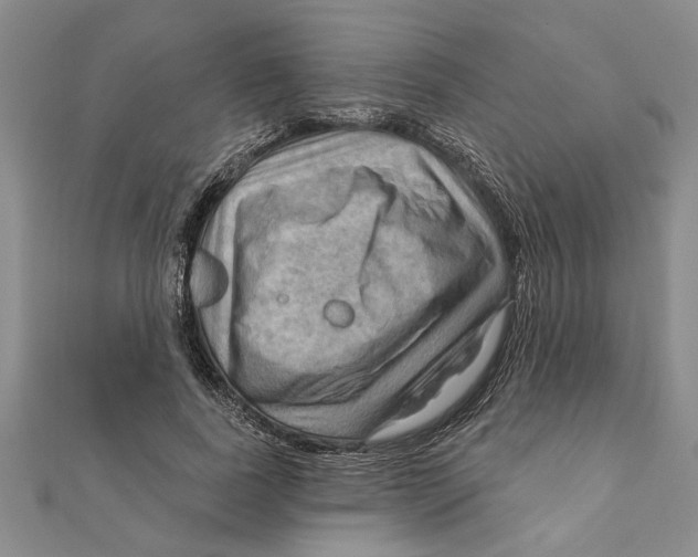 X0000111200739200907291229