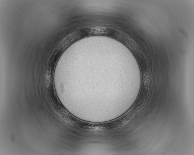 X0000111200741200907291229