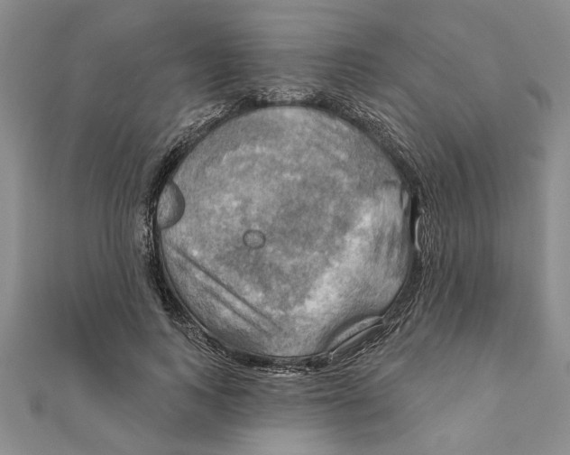 X0000111200743200907291229