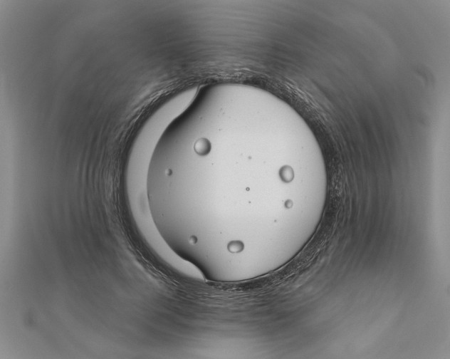 X0000111200744200907291229