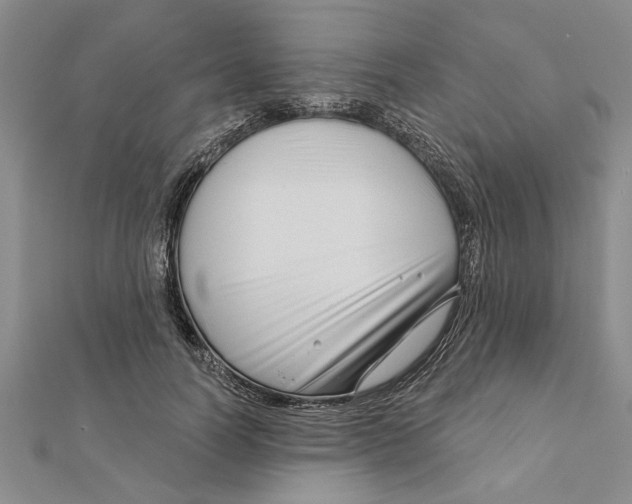 X0000111200746200907291229