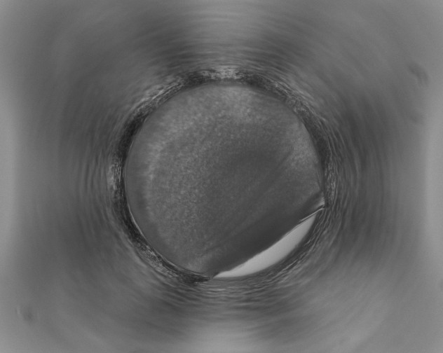 X0000111200747200907291229