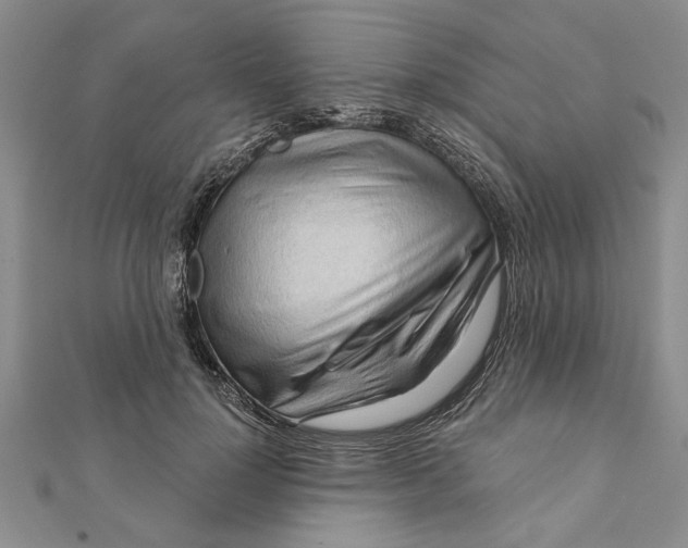 X0000111200748200907291229