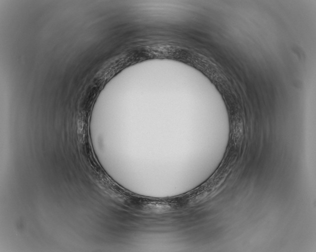 X0000111200749200907291229