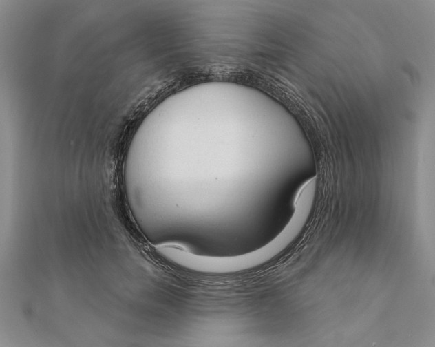 X0000111200750200907291229