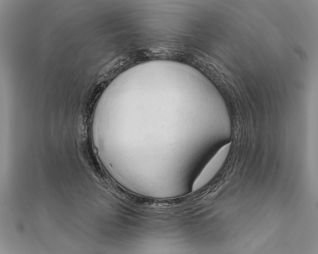 X0000111200751200907291229