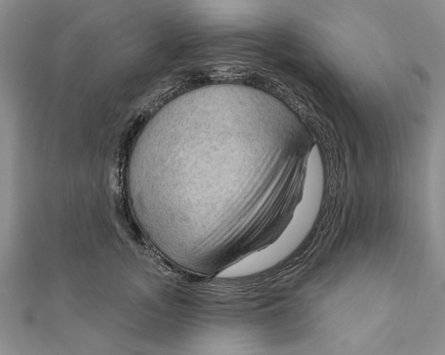 X0000111200755200907291230