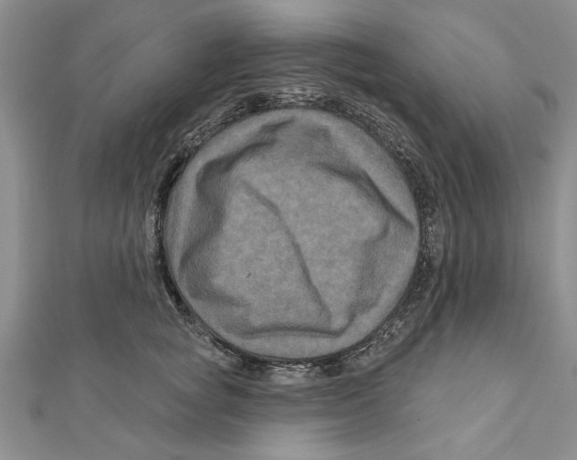 X0000111200757200907291230