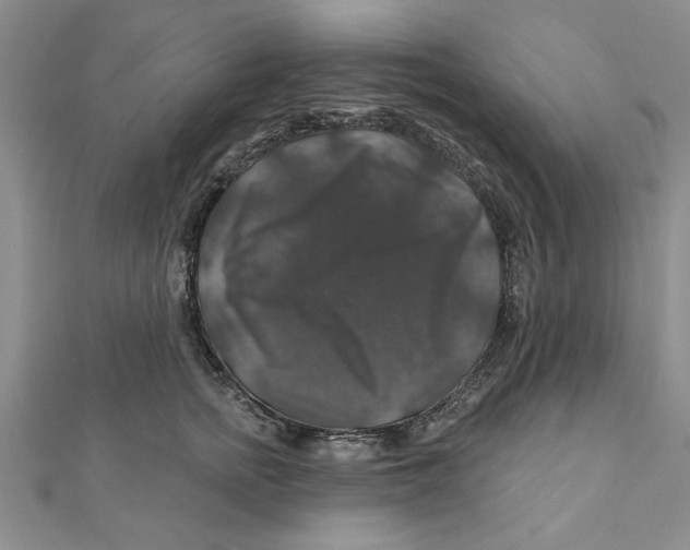 X0000111200758200907291230