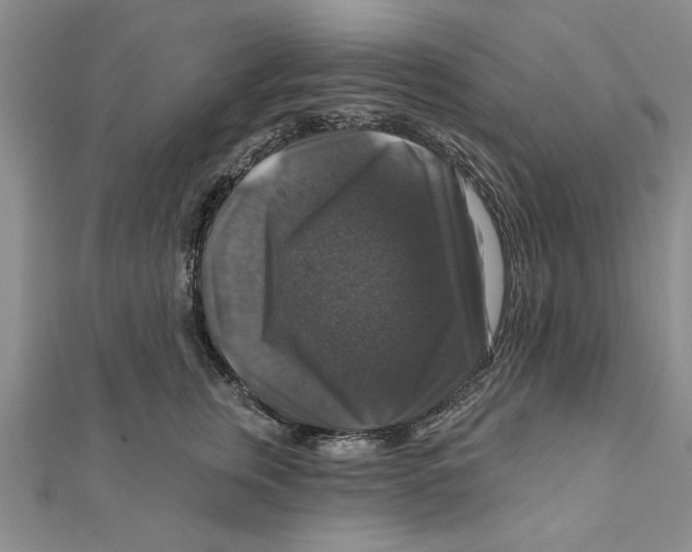 X0000111200759200907291230