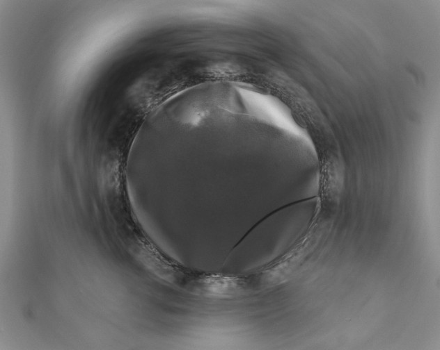 X0000111200762200907291230