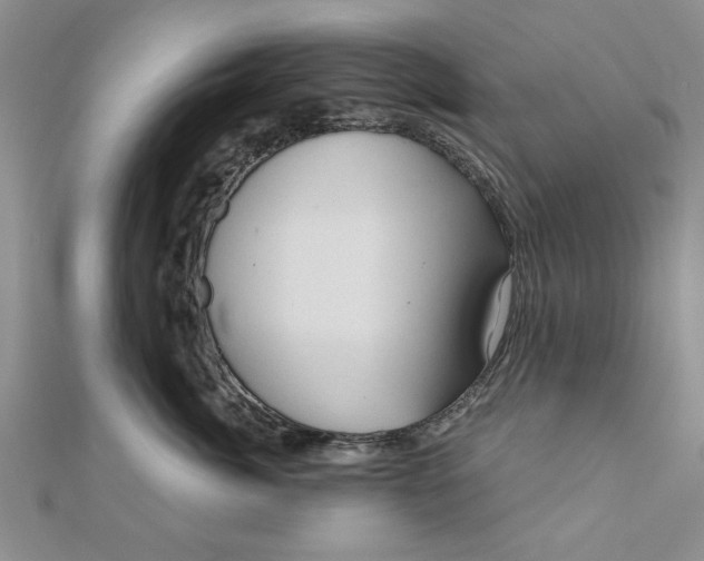 X0000111200764200907291230