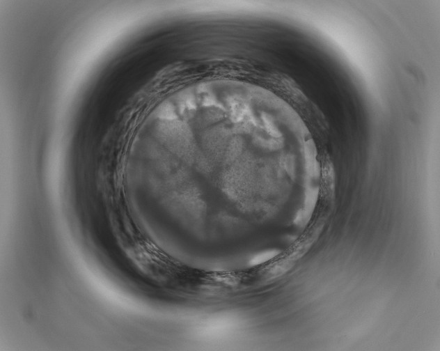 X0000111200765200907291230