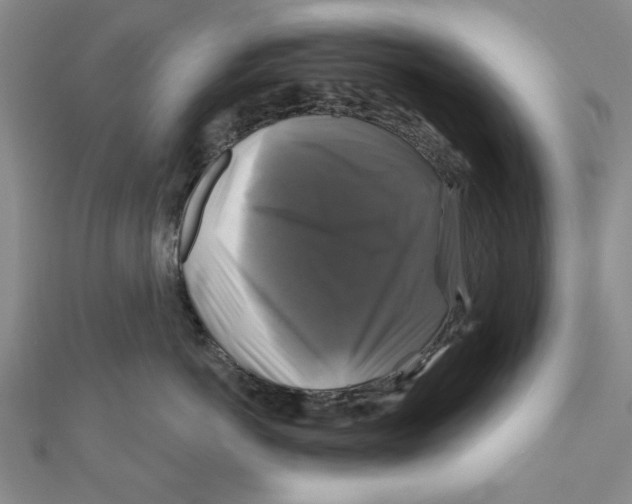 X0000111200766200907291230