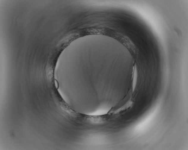 X0000111200767200907291230