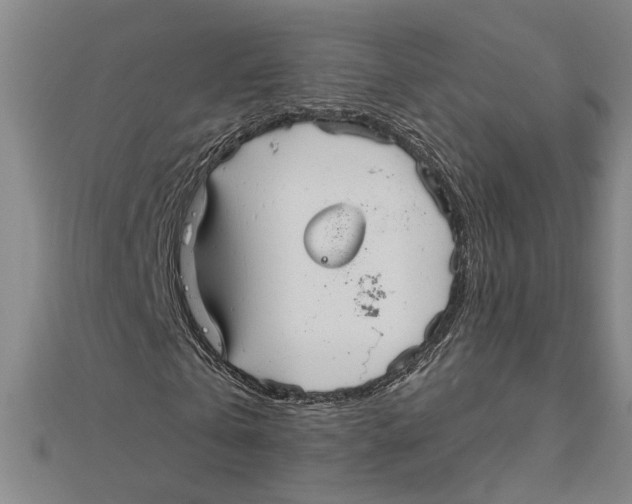 X0000111200769200907291229