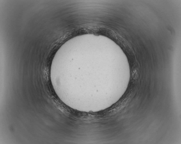 X0000111200772200907291229