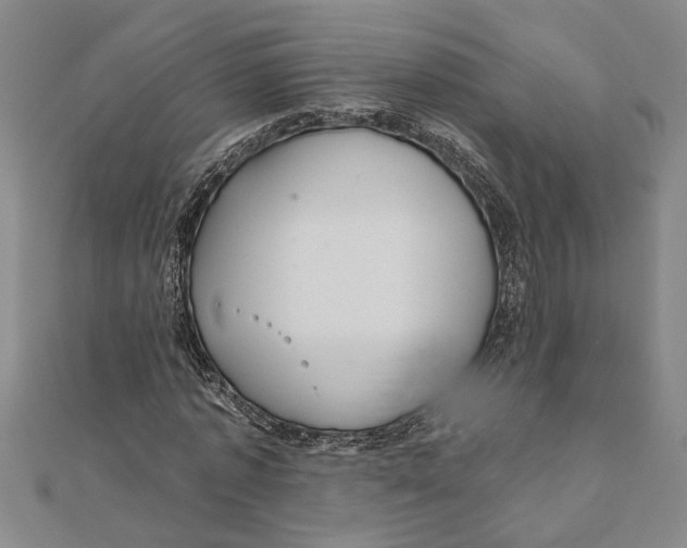 X0000111200773200907291229