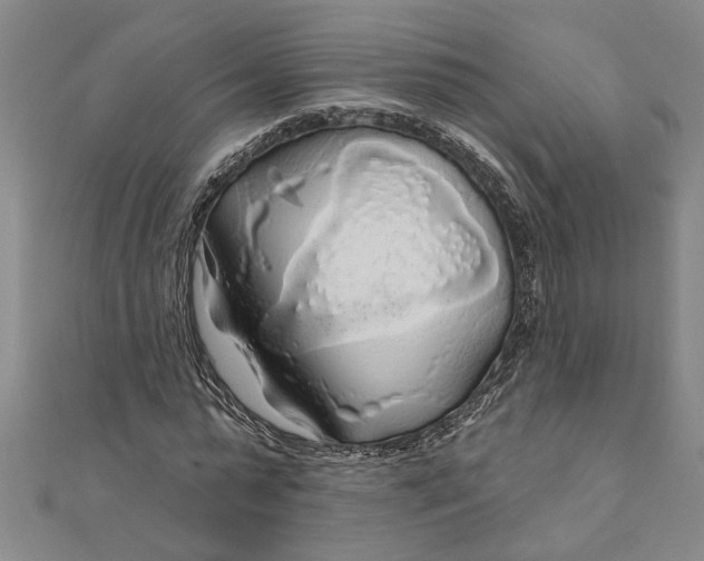 X0000111200775200907291229