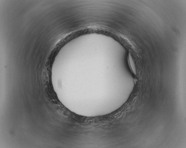 X0000111200776200907291229