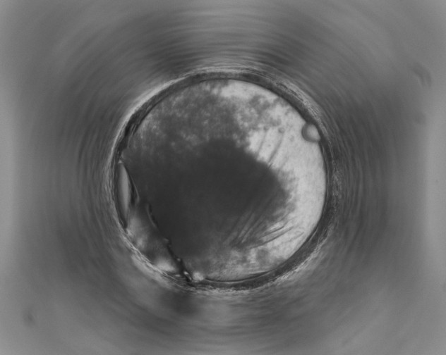 X0000111200779200907291229