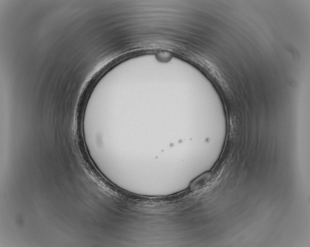 X0000111200780200907291229