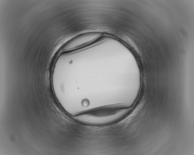 X0000111200781200907291229