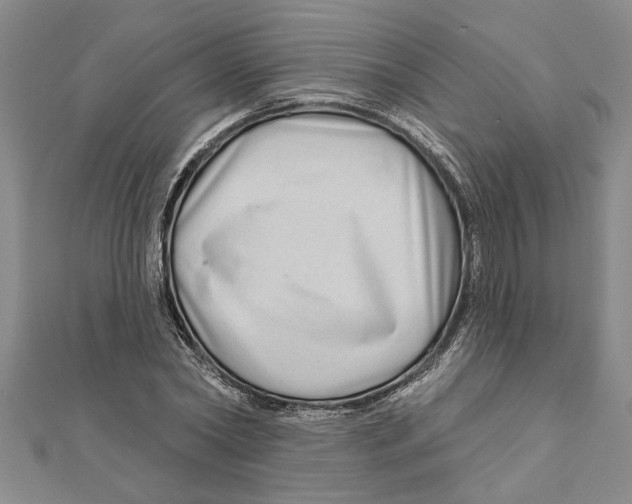 X0000111200782200907291229